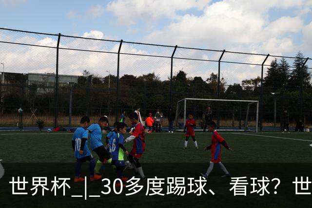 世界杯 | 30多度踢球、看球？世界杯面临的“天气考验”不仅仅是高温