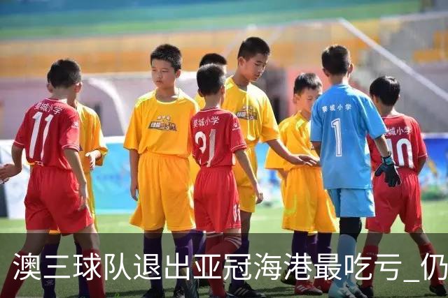 澳三球队退出亚冠海港最吃亏 仍要先参加附加赛