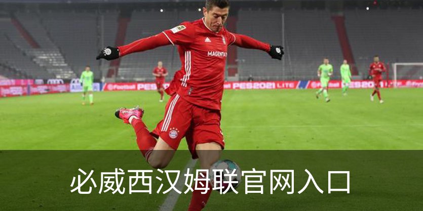 必威西汉姆联官网入口介绍